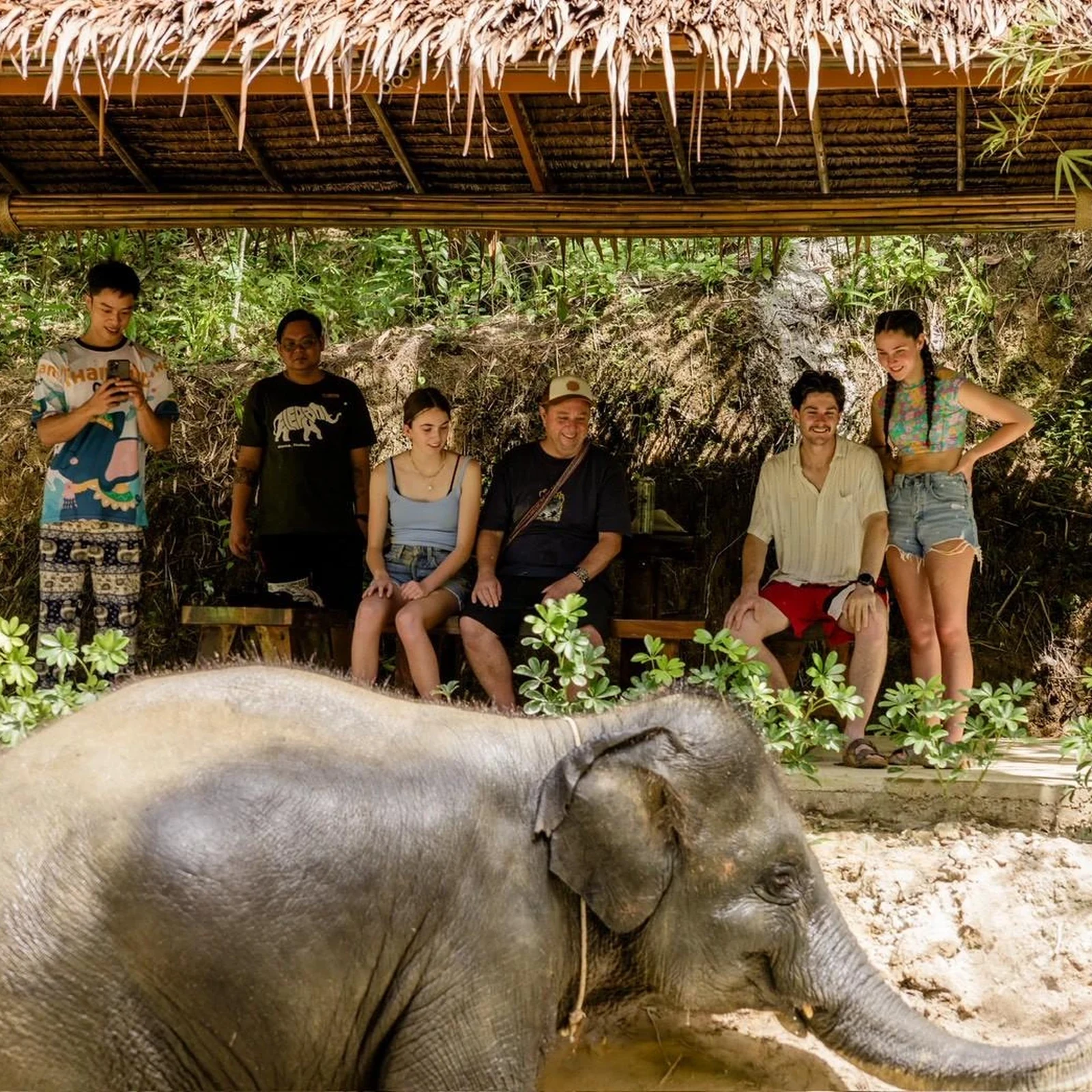 Du radeau de bambou aux éléphants, au départ de Phuket