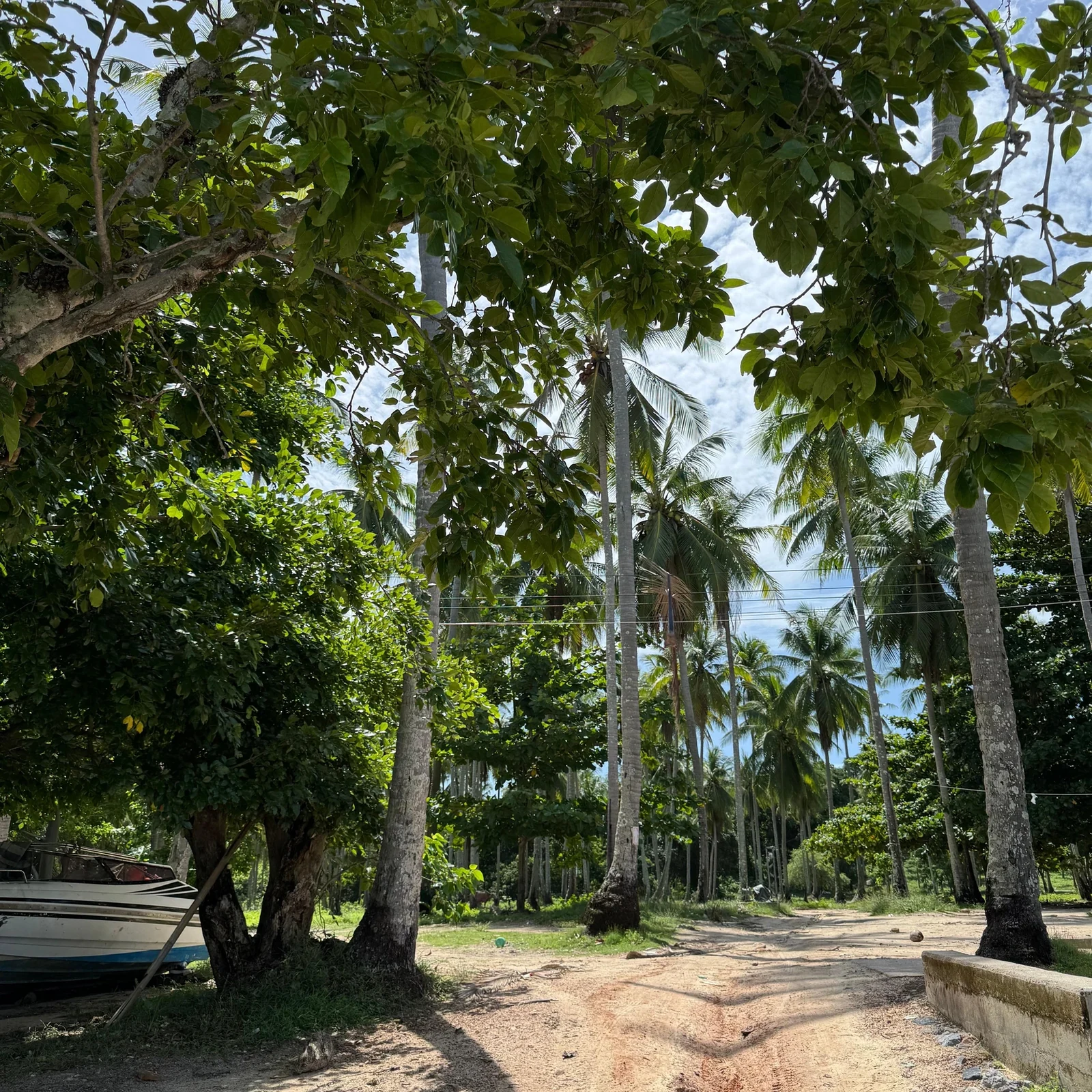 Phuket : jet-ski autour de 6 îles et massage en option