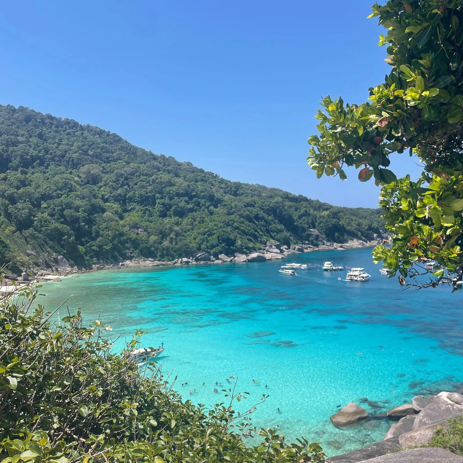 Îles Similan depuis Phuket : snorkeling et paysages marins