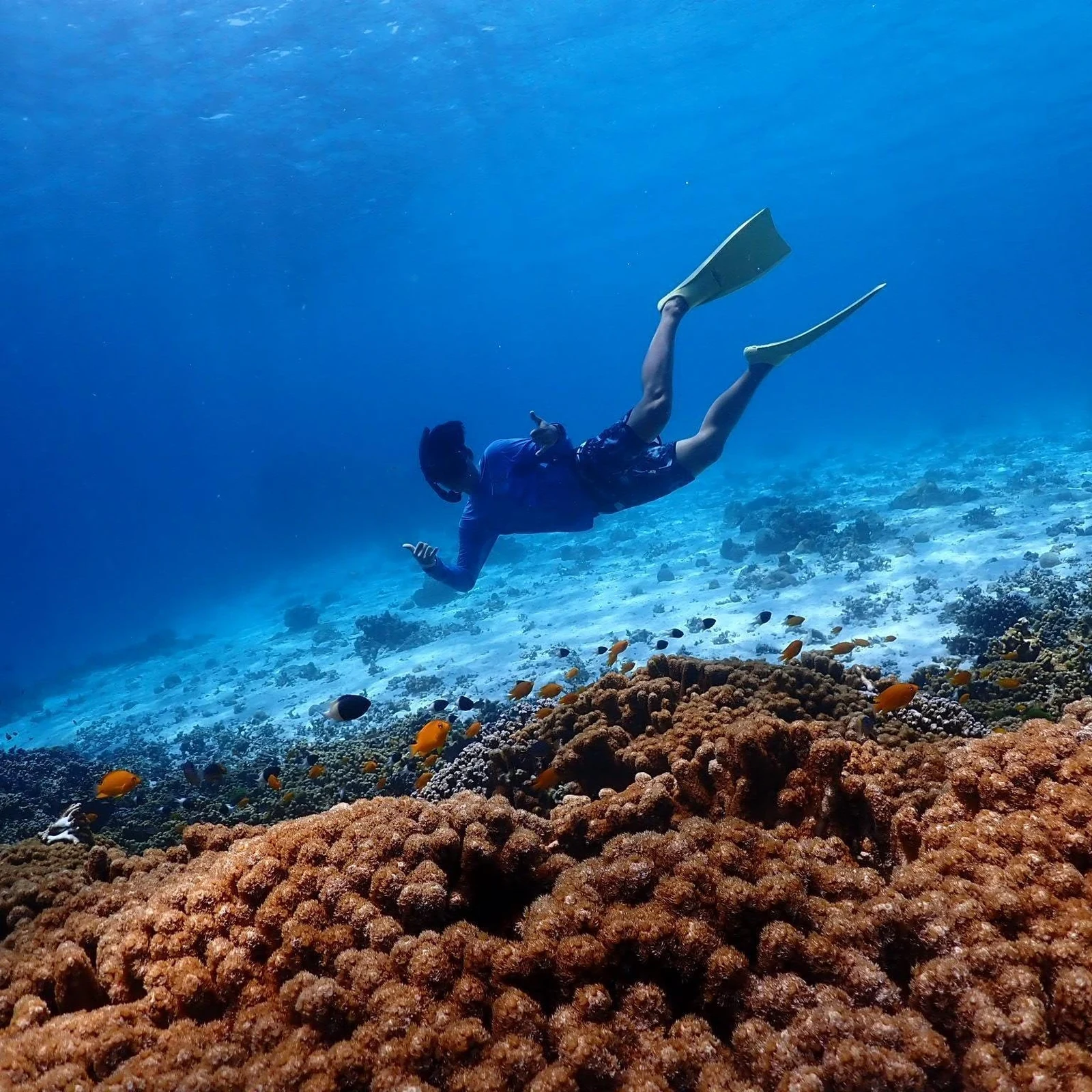 Îles Similan depuis Phuket : snorkeling et paysages marins