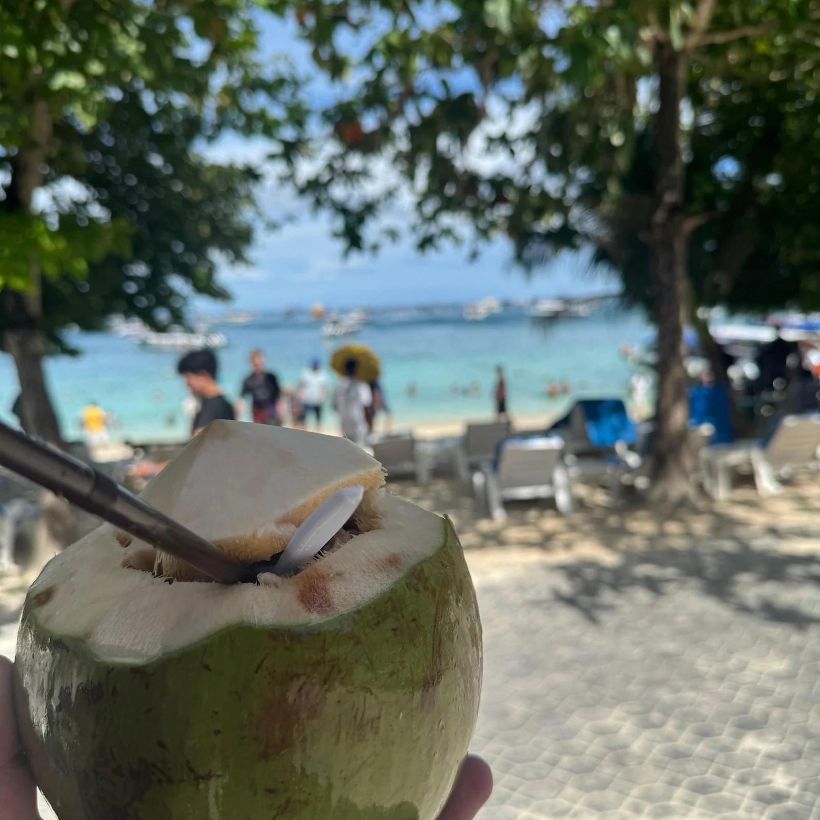 Phi Phi und Maya Bay ab Phuket