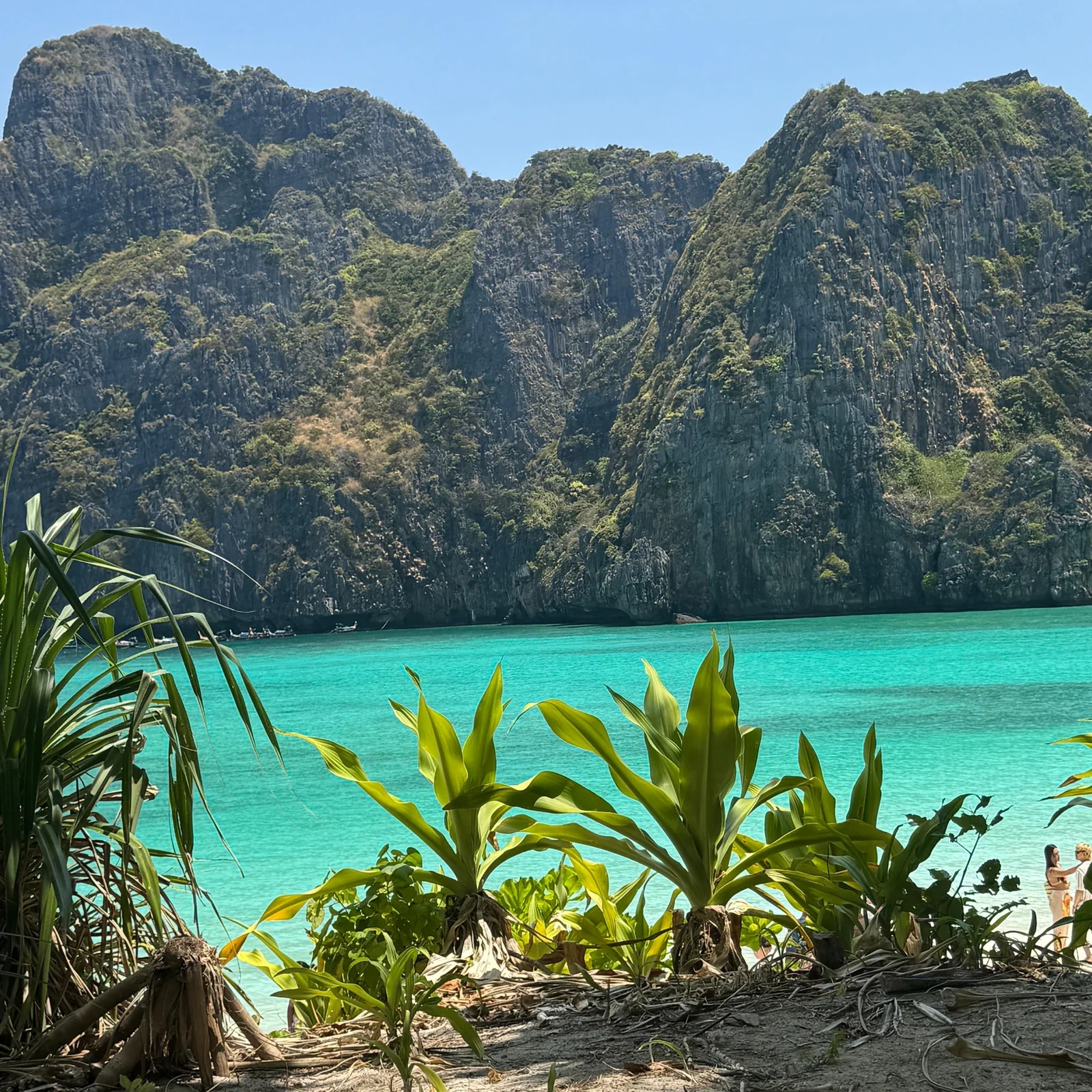 Phi Phi und Maya Bay ab Phuket