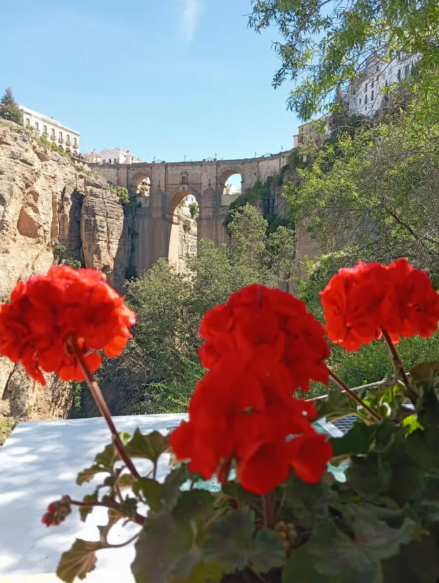 Excursion de Málaga à Setenil et Ronda en une journée organisée