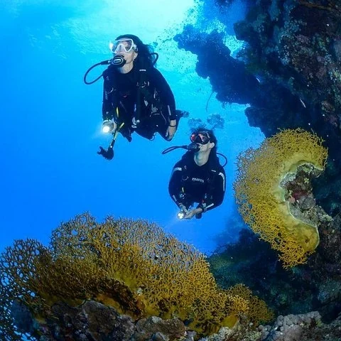 Découvrez la plongée avec deux immersions à Koh Racha Yai