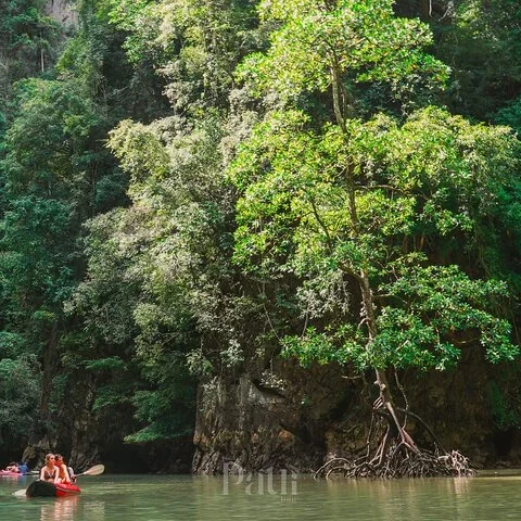 Une journée d’îles, de grottes et de canoë depuis Phuket