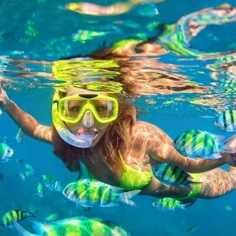 Phi Phi en hors-bord : îles, snorkeling et déjeuner depuis Phuket