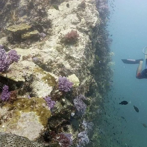 Una jornada completa de buceo desde Phuket