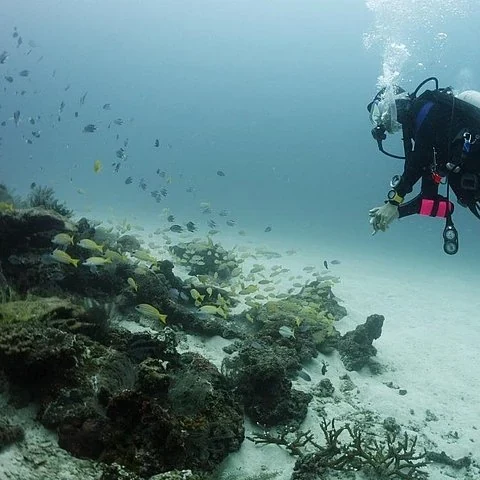 Una jornada completa de buceo desde Phuket