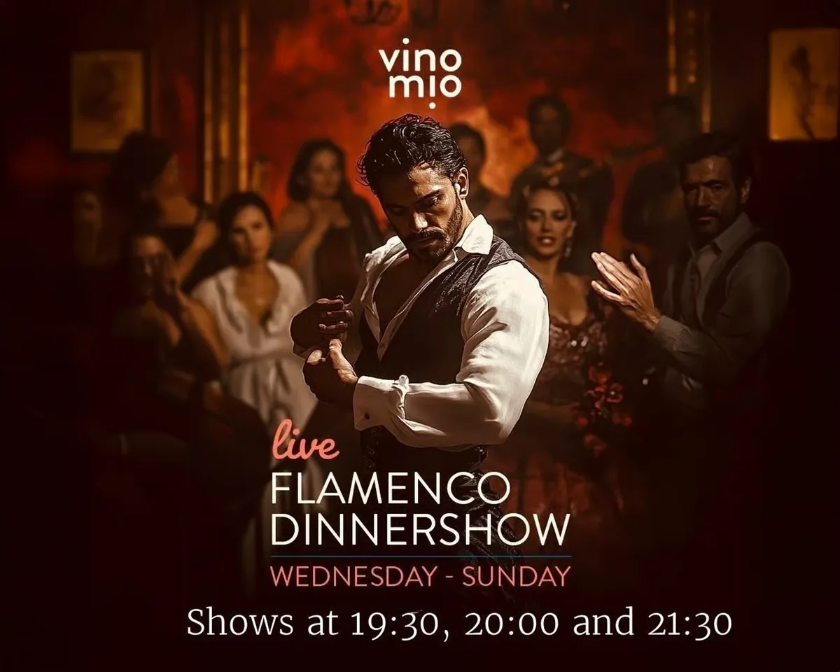 Dîner spectacle flamenco à Málaga | Restaurant VinoMío