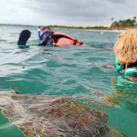 Un cénote et les eaux d’Akumal lors d’une excursion privée