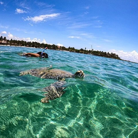 Un cénote et les eaux d’Akumal lors d’une excursion privée