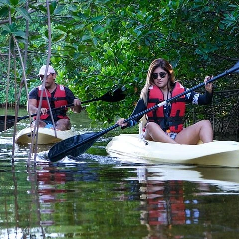 Explora en kayak los manglares de la Laguna Nichupté