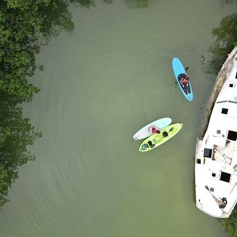 Explora en kayak los manglares de la Laguna Nichupté