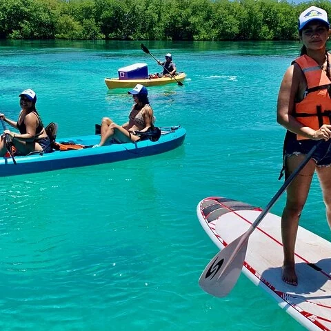 Explore Cancun's mangroves by kayak or paddleboard