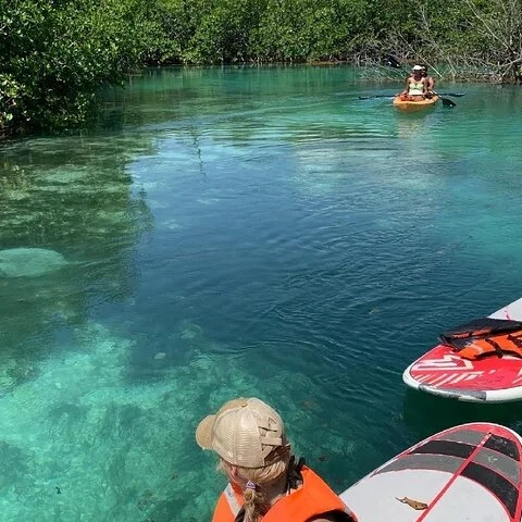 Explore Cancun's mangroves by kayak or paddleboard