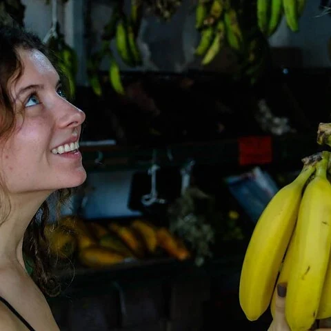 Taste Cancun on a guided walking route