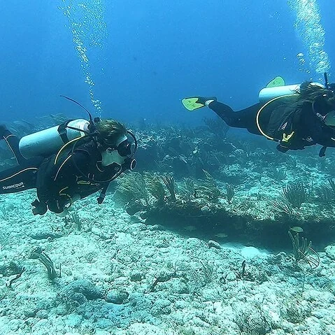 Essayez la plongée sur les récifs de Puerto Morelos