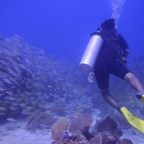 Essayez la plongée sur les récifs de Puerto Morelos