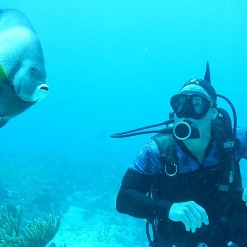 Essayez la plongée sur les récifs de Puerto Morelos