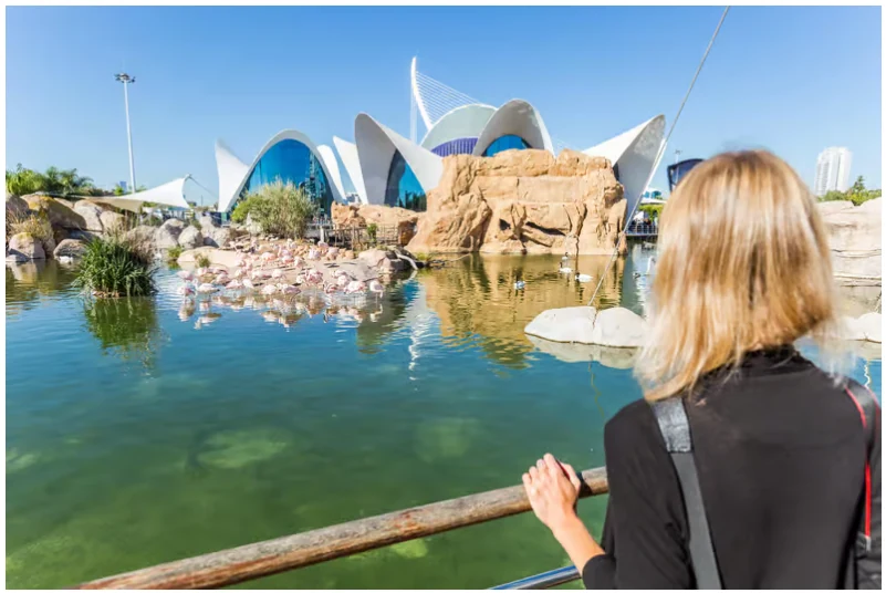 Valence : billet combiné Oceanogràfic et Musée des Sciences