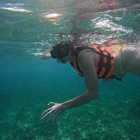 A short-format way to explore the Puerto Morelos reef