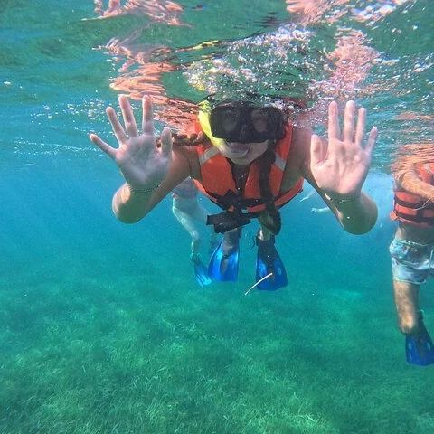 A short-format way to explore the Puerto Morelos reef