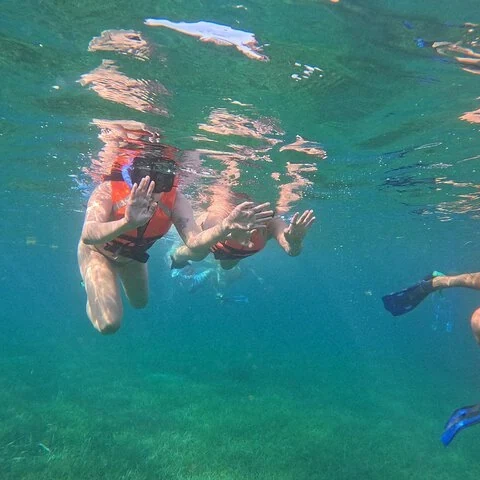 A short-format way to explore the Puerto Morelos reef