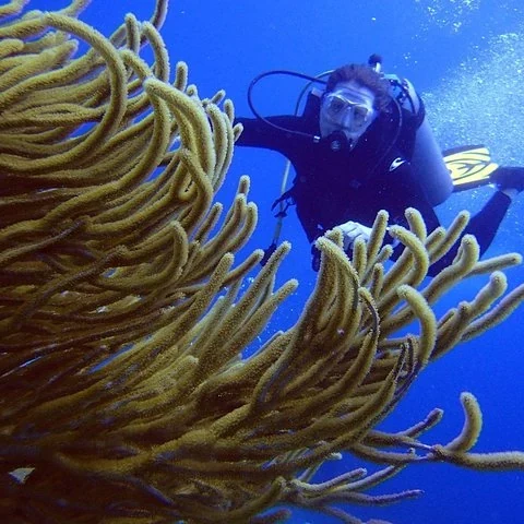 Tu primera experiencia de buceo entre esculturas y arrecife