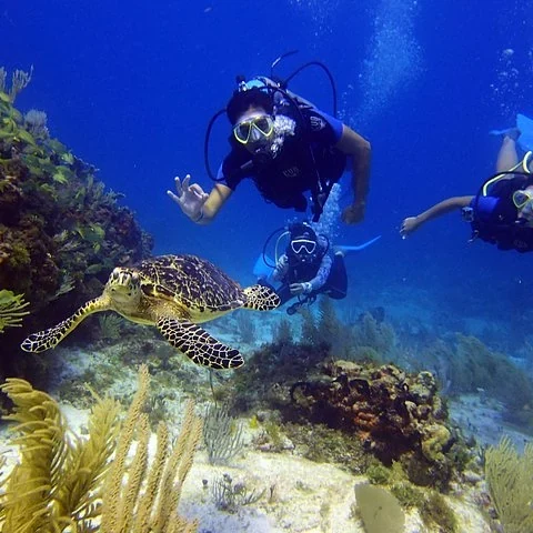 Tu primera experiencia de buceo entre esculturas y arrecife