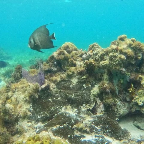 Deine private Katamaranfahrt nach Isla Mujeres