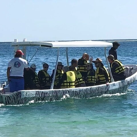 Erkunde das Riff vor Puerto Morelos mit höchstens 8 Personen