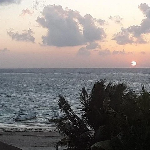Erkunde das Riff vor Puerto Morelos mit höchstens 8 Personen