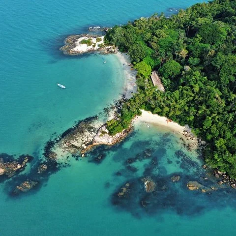 Pagayez de Canasvieiras jusqu’à une île protégée
