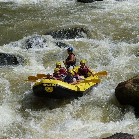 Paddle through the Cubatão River rapids