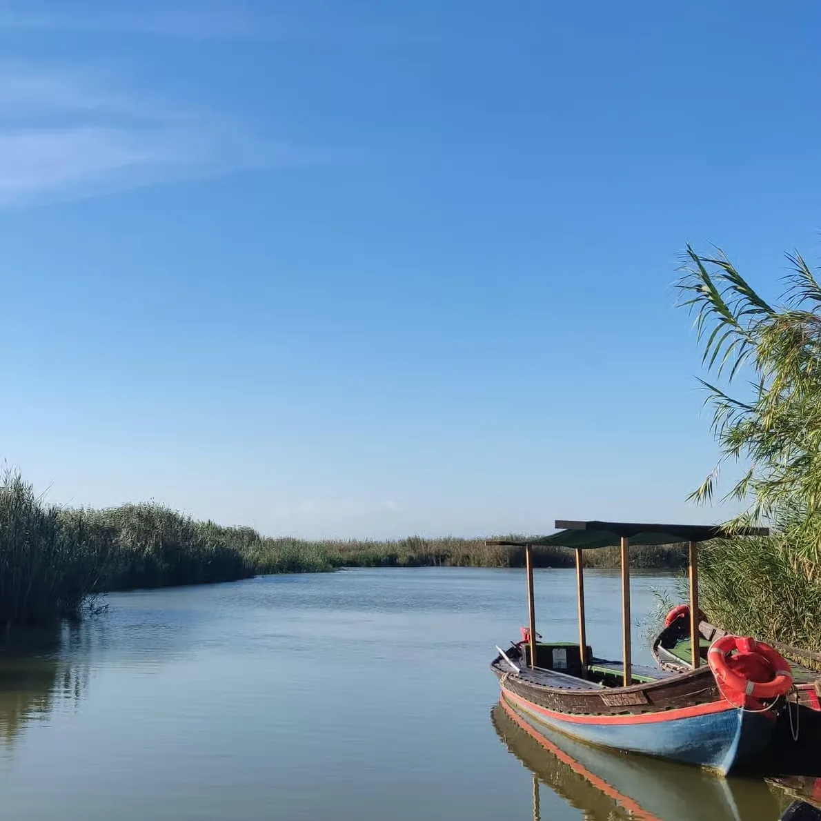Bootsfahrt durch die Albufera de Valencia mit Besuch einer traditionellen Barraca