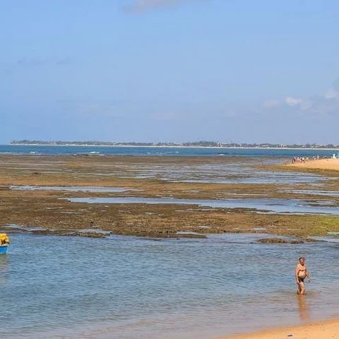 Ausflug nach Praia do Forte und Guarajuba ab Salvador