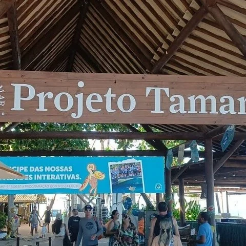 Découvrez Praia do Forte et Guarajuba en une journée