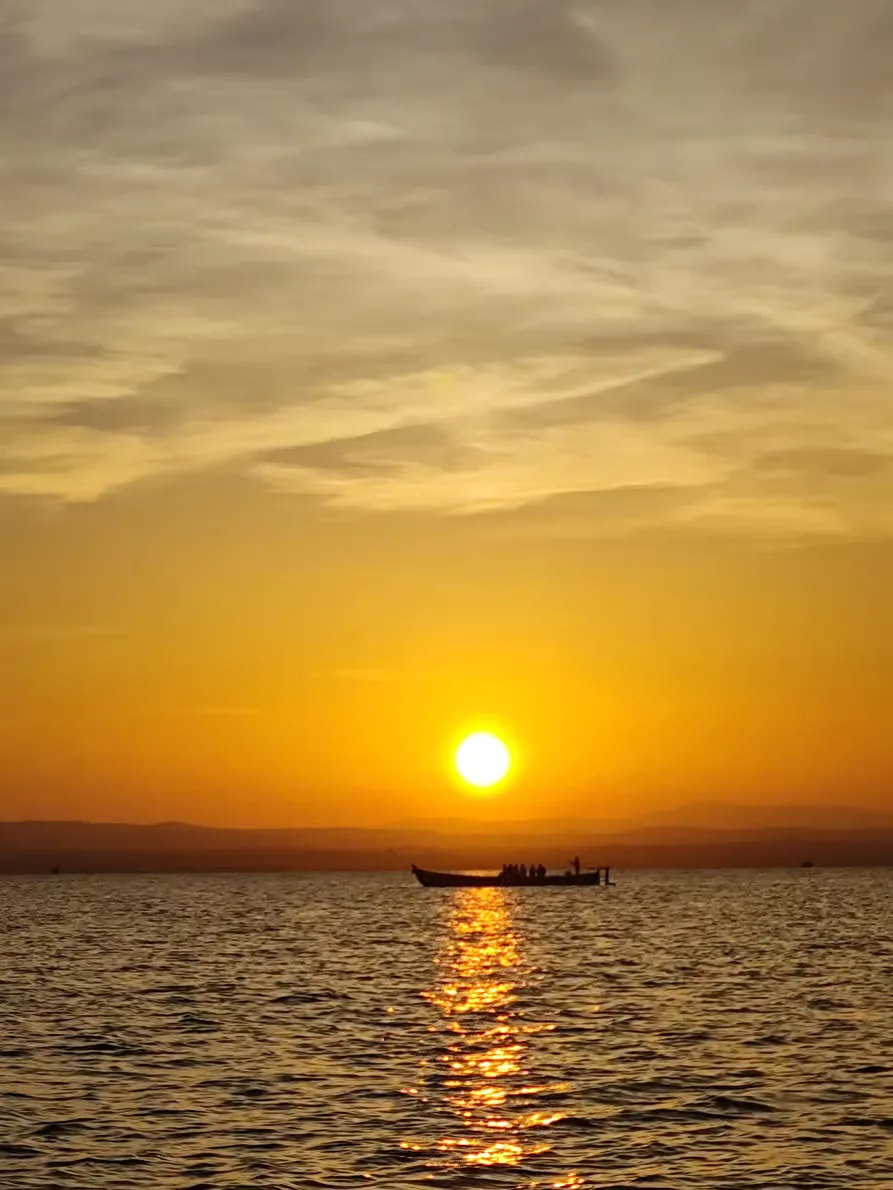 Albufera coucher de soleil et visite d’une barraca à Valence