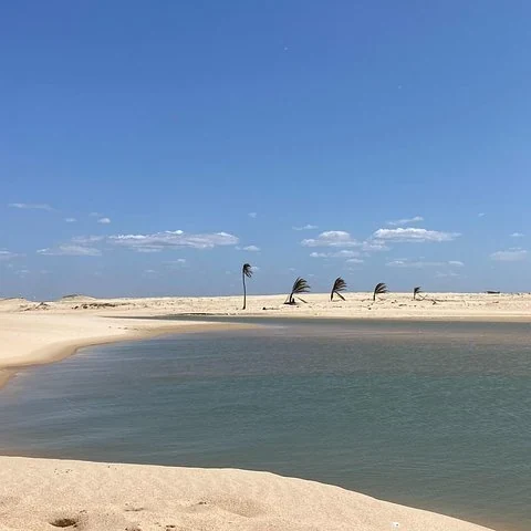 Sieben Tage für Fortschritte beim Kitesurfen oder Wingfoilen