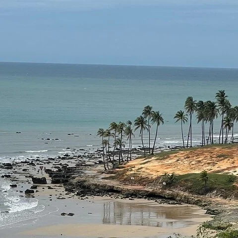 Viaja de Fortaleza a Jericoacoara en un traslado privado 4x4