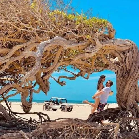 Deux jours à Jericoacoara avec transport privé et une nuit sur place