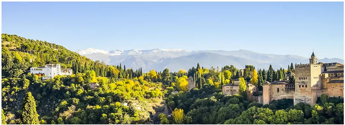 Visite guidée de l’Alhambra et des palais nasrides avec billets à Grenade