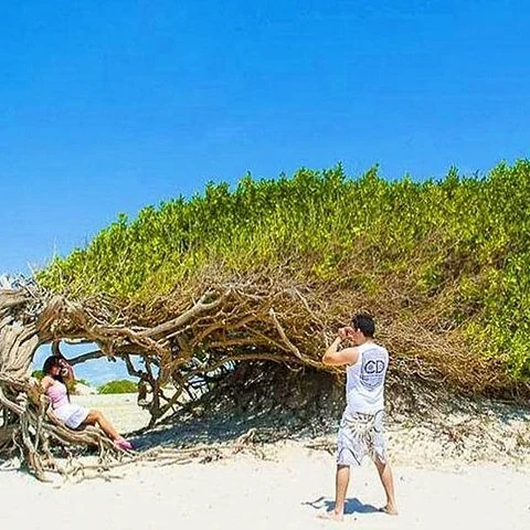 De Fortaleza à Jericoacoara pour une journée de nature et de baignade