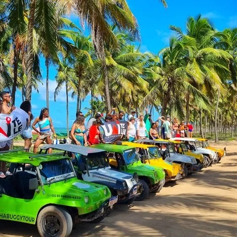 Travel between Recife and Porto de Galinhas with coordinated pickup