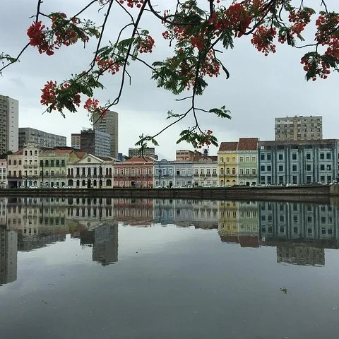 Tour privado por Recife y Olinda con recogida