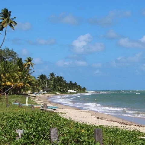 Vom Flughafen Recife nach Serrambi im Privatfahrzeug