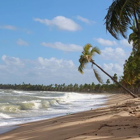 Vom Flughafen Recife nach Serrambi im Privatfahrzeug
