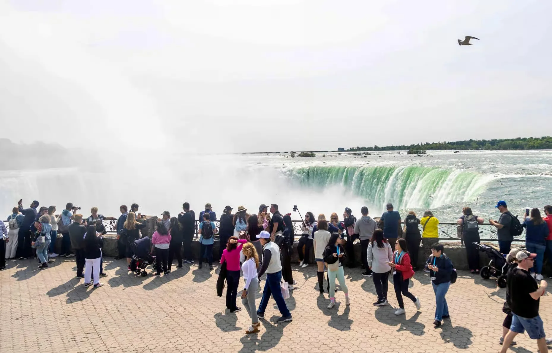 Many visitors beside the railing of a viewing area in front of the falls.