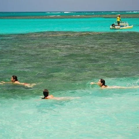 Im Privatfahrzeug von Recife nach Maragogi