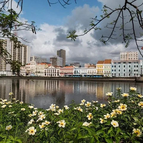 Mit einem Sammeltransfer zwischen Flughafen und Hotel in Recife fahren